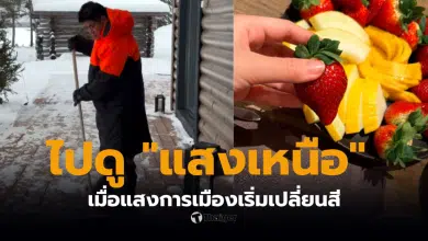 ธรรมนัสไปดูแสงเหนือฟินแลนด์