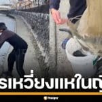 โซเชียลญี่ปุ่นเดือด ชาวกัมพูชา หว่านแหจับปลาในแม่น้ำ ชาวเน็ตจี้ไล่กลับประเทศ