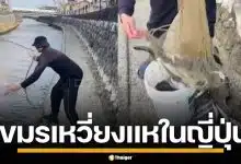 โซเชียลญี่ปุ่นเดือด ชาวกัมพูชา หว่านแหจับปลาในแม่น้ำ ชาวเน็ตจี้ไล่กลับประเทศ