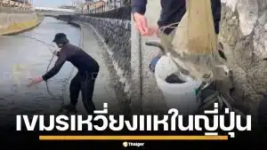 โซเชียลญี่ปุ่นเดือด ชาวกัมพูชา หว่านแหจับปลาในแม่น้ำ ชาวเน็ตจี้ไล่กลับประเทศ