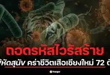 รู้จัก ไข้หัดสุนัข โศกนาฏกรรมสัตว์ป่า เมื่อไวรัสสุนัข ข้ามสายพันธุ์บวกการติดเชื้อแทรกซ้อน ทำลายปอดเสือโคร่งอย่างรุนแรง