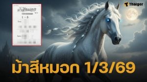 เลขเด็ด ม้าสีหมอก งวด 1/3/69 ควบเงินล้านมาวางให้ คอหวยส่องด่วนก่อนหมดแผง