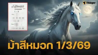 เลขเด็ด ม้าสีหมอก งวด 1/3/69 ควบเงินล้านมาวางให้ คอหวยส่องด่วนก่อนหมดแผง