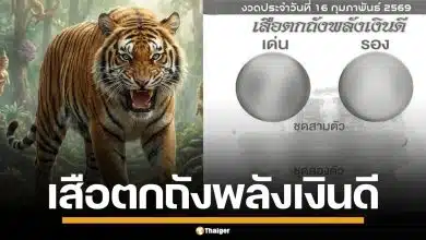 เลขเด็ด เสือตกถังพลังเงินดี งวด 16/2/69 จับตาเด่น-รอง แจกเลขชุดแบบจุกๆ