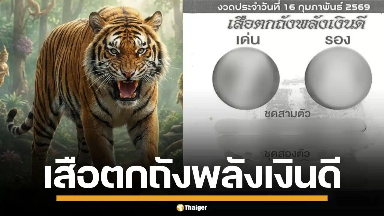 เลขเด็ด เสือตกถังพลังเงินดี งวด 16/2/69 จับตาเด่น-รอง แจกเลขชุดแบบจุกๆ
