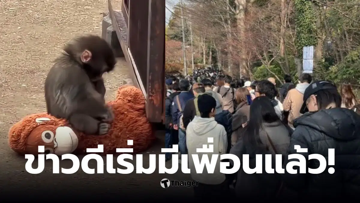 พั้นช์คุงอยู่สวนสัตว์ไหน