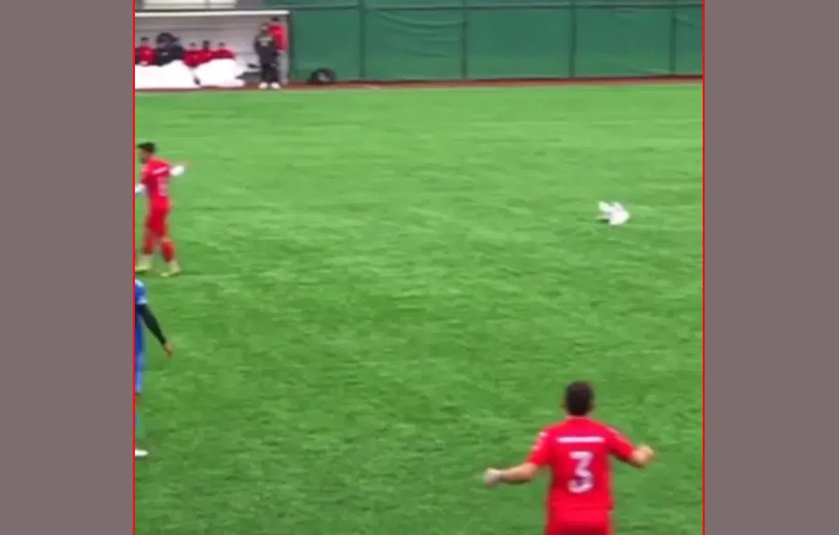 แข้งตุรกีโชว์ CPR ชุบชีวิตนกนางนวลร่วงกลางสนา