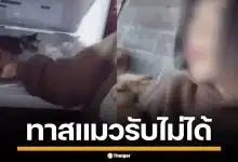 ทัวร์ลงยับ! สาวทำคอนเทนต์สุดพิเรนทร์ ยัดแมวใส่ช่องฟรีซ-ถ่มน้ำลายใส่ ล่าสุดลบคลิปหนี