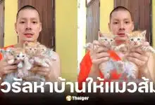 พระศรัณย์ สนฺตมโน หาบ้านให้แมวจร