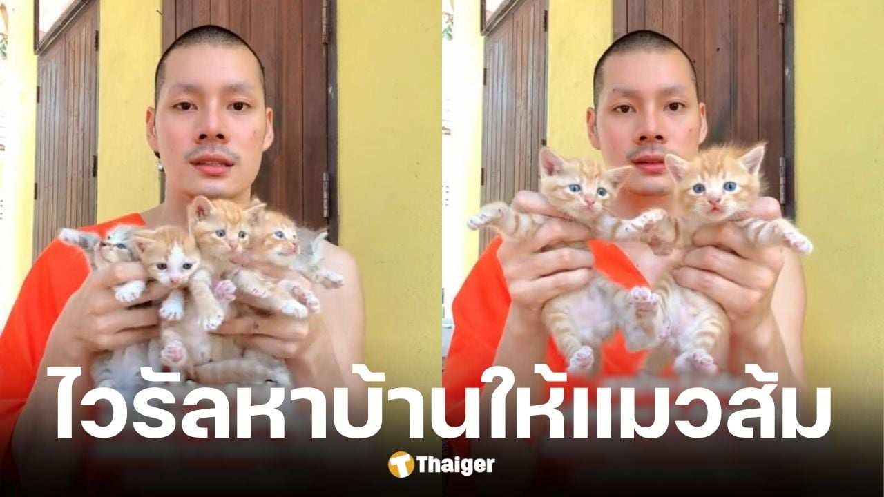 พระศรัณย์ สนฺตมโน หาบ้านให้แมวจร