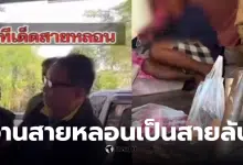 วานสายหลอนเป็นสายลับ