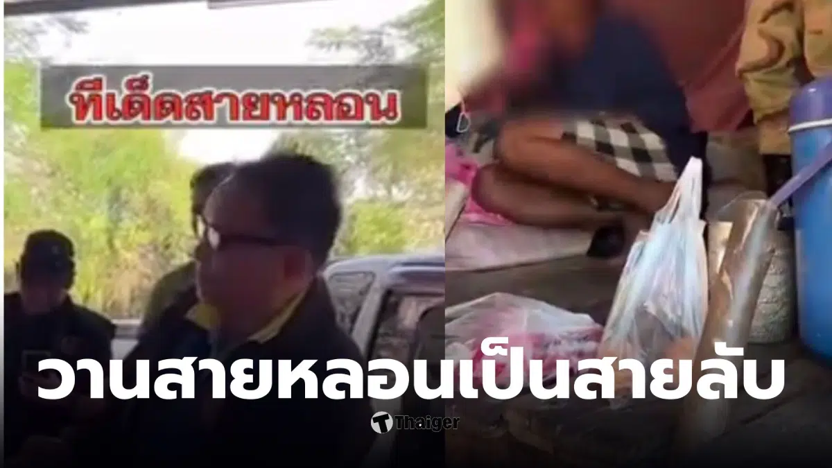 วานสายหลอนเป็นสายลับ