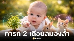 นักวิทย์เผยผลสแกนสมองทารก 2 เดือน แยกแยะสิ่งมีชีวิต-วัตถุได้แล้ว