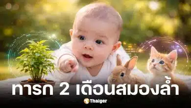 นักวิทย์เผยผลสแกนสมองทารก 2 เดือน แยกแยะสิ่งมีชีวิต-วัตถุได้แล้ว