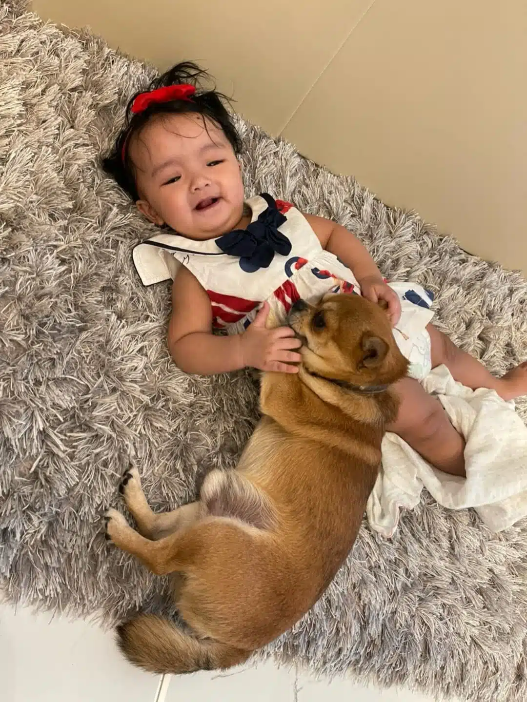 ครอบครัว ใบเตย อาร์สยาม เศร้า สูญเสีย น้องฮาเล่ สุนัขสุดรัก หลังอยู่ด้วยกันมา 15 ปี-5