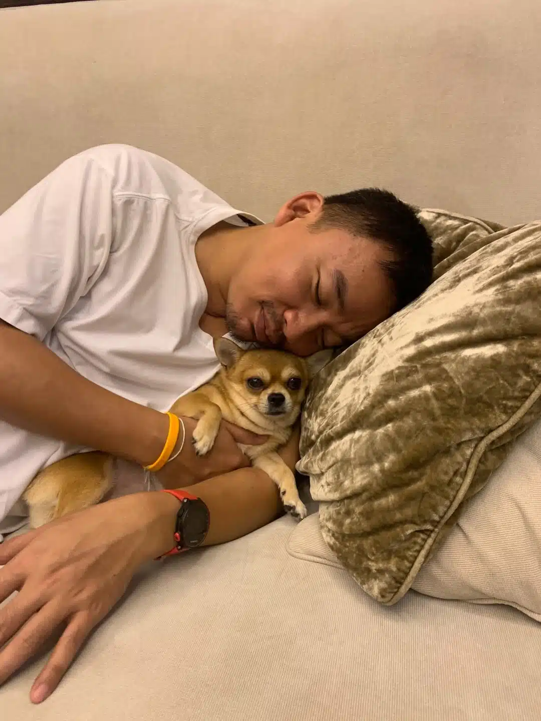 ครอบครัว ใบเตย อาร์สยาม เศร้า สูญเสีย น้องฮาเล่ สุนัขสุดรัก หลังอยู่ด้วยกันมา 15 ปี-6