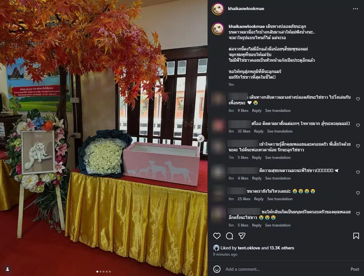 โพสต์ล่าสุด แม่ไข่ขาว