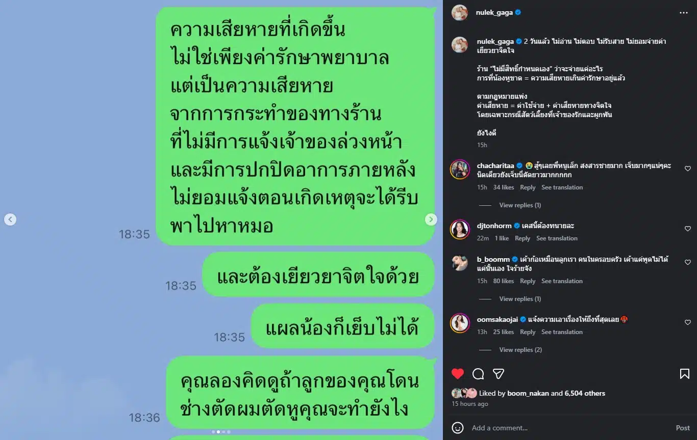 หนูเล็ก ก่าก๊า เดือดร้านตัดขนทำหูหมาขาด-1