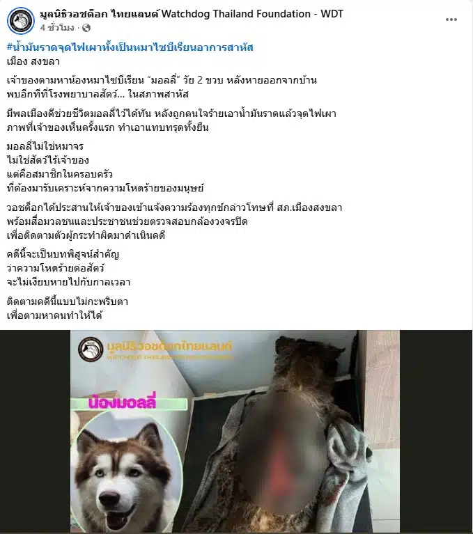 ไซบีเรียนบาดเจ็บสาหัสระดับ 5 แผลลึก