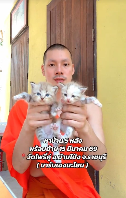 พระศรัณย์ หาบ้านให้แมว -3