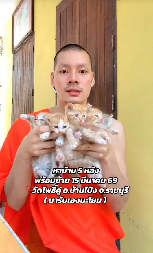 พระศรัณย์ หาบ้านให้แมว -2
