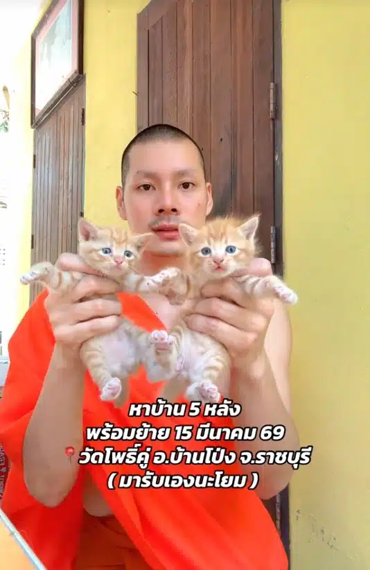 พระศรัณย์ หาบ้านให้แมว