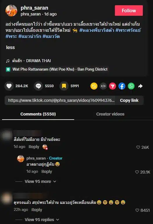 ชาวเน็ตเมนต์หลังพระศรัณย์ หาบ้านให้แมว