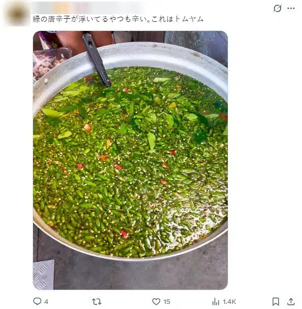 นักท่องเที่ยวญี่ปุ่นเตือนอาหารไทยเผ็ด