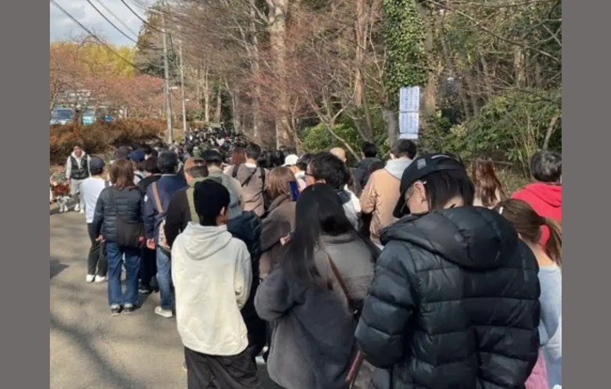 ชาวญี่ปุ่นแห่ไปดูพั้นช์คุงที่สวนสัตว์อิชิกาวะจำนวนมาก