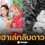 ครอบครัว ใบเตย อาร์สยาม เศร้า สูญเสีย "น้องฮาเล่" สุนัขสุดรัก หลังอยู่ด้วยกันมา 15 ปี