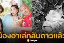 ครอบครัว ใบเตย อาร์สยาม เศร้า สูญเสีย "น้องฮาเล่" สุนัขสุดรัก หลังอยู่ด้วยกันมา 15 ปี