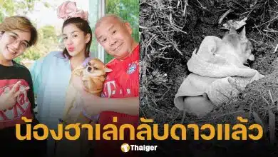 ครอบครัว ใบเตย อาร์สยาม เศร้า สูญเสีย "น้องฮาเล่" สุนัขสุดรัก หลังอยู่ด้วยกันมา 15 ปี