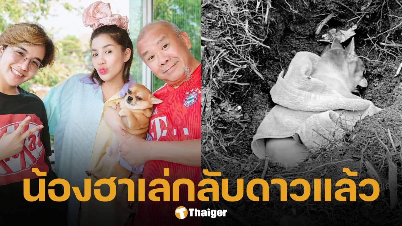 ครอบครัว ใบเตย อาร์สยาม เศร้า สูญเสีย "น้องฮาเล่" สุนัขสุดรัก หลังอยู่ด้วยกันมา 15 ปี