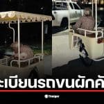 คุณยายขายผักนั่งอยู่บนรถขนผักคันใหม่ที่มีเลขทะเบียน 8 ขญ 7084