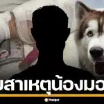 เผยสาเหตุ คนร้ายใจเหี้ยม ราดน้ำมันจุดไฟเผา "น้องมอลลี่" สุนัขไซบีเรียน