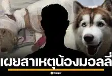 เผยสาเหตุ คนร้ายใจเหี้ยม ราดน้ำมันจุดไฟเผา "น้องมอลลี่" สุนัขไซบีเรียน