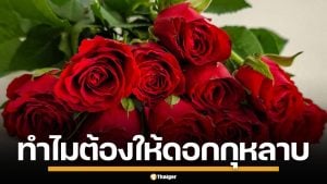 เปิดตำนาน "กุหลาบแดง" ทำไมต้องมอบให้ "วันวาเลนไทน์" สัญลักษณ์แห่งรักแท้