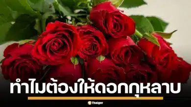 เปิดตำนาน "กุหลาบแดง" ทำไมต้องมอบให้ "วันวาเลนไทน์" สัญลักษณ์แห่งรักแท้