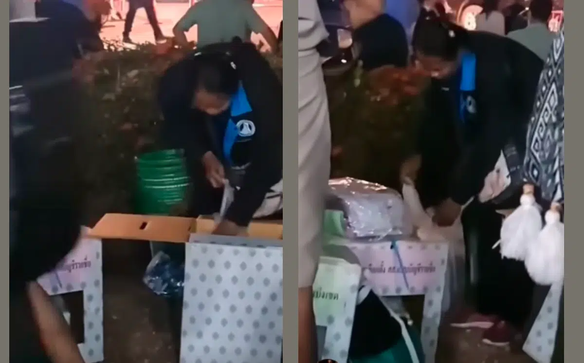 หลักฐานคาตา การเปิดหีบบัตรปริศนาที่ชัยภูมิทำคนเดือดดาล