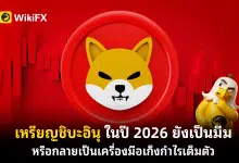 เหรียญชิบะอินุคืออะไร