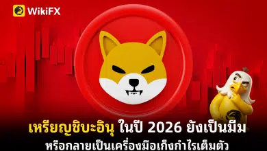 เหรียญชิบะอินุคืออะไร