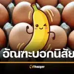 วิจัยเผย "ขนาดอัณฑะ" บ่งบอกนิสัยได้ โทนเสียง ช่วยเดาพวงเล็กหรือใหญ่