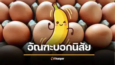 วิจัยเผย "ขนาดอัณฑะ" บ่งบอกนิสัยได้ โทนเสียง ช่วยเดาพวงเล็กหรือใหญ่