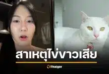 เฉลยสาเหตุ ไข่ขาวลูกแมร๊ เป็นอะไรตาย คุณพลอยยัน ไม่ได้ปกปิดป่วย รักเหมือนลูก