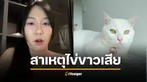 เฉลยสาเหตุ ไข่ขาวลูกแมร๊ เป็นอะไรตาย คุณพลอยยัน ไม่ได้ปกปิดป่วย รักเหมือนลูก