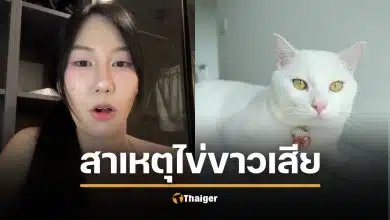 เฉลยสาเหตุ ไข่ขาวลูกแมร๊ เป็นอะไรตาย คุณพลอยยัน ไม่ได้ปกปิดป่วย รักเหมือนลูก