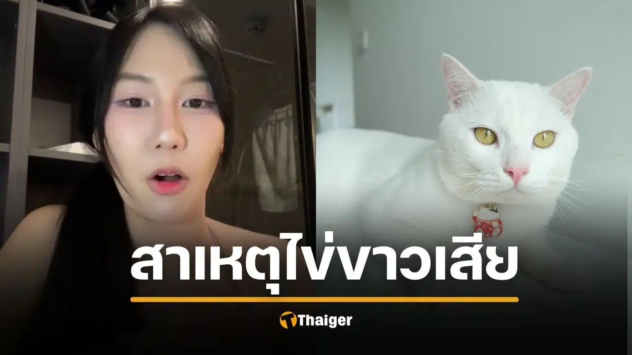 เฉลยสาเหตุ ไข่ขาวลูกแมร๊ เป็นอะไรตาย คุณพลอยยัน ไม่ได้ปกปิดป่วย รักเหมือนลูก