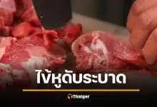 “โรคไข้หูดับ” ระบาดหนัก 28 จังหวัด ป่วยพุ่ง 49 ราย เสียชีวิต 3 ศพ โคราชแชมป์