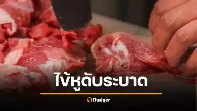 “โรคไข้หูดับ” ระบาดหนัก 28 จังหวัด ป่วยพุ่ง 49 ราย เสียชีวิต 3 ศพ โคราชแชมป์