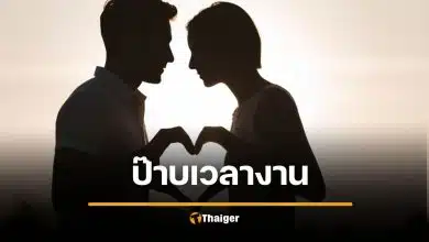 สวีเดน ไอเดียเจ๋ง มีเซ็กซ์ระหว่างทำงานได้ หวังปั๊มลูกแก้ปัญหาเด็กเกิดน้อย